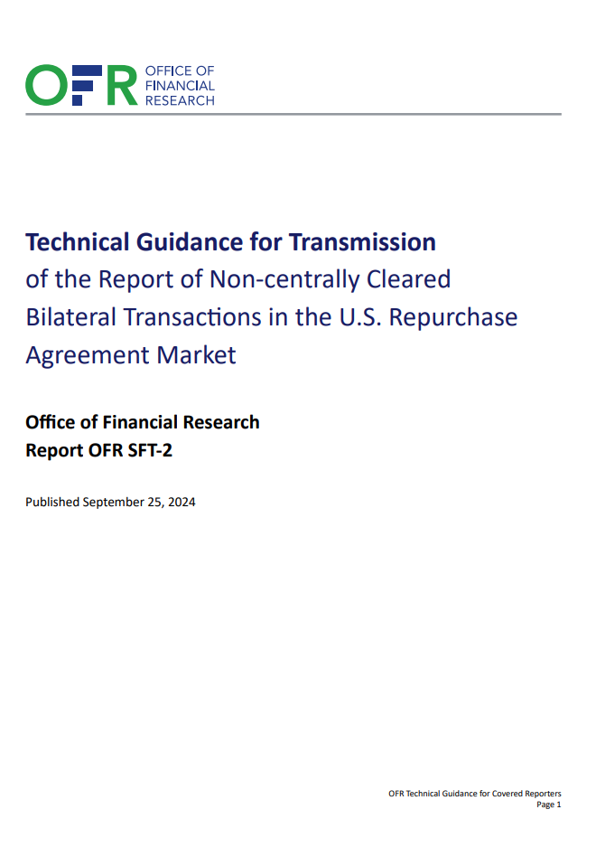 Technical Guidance Report Example