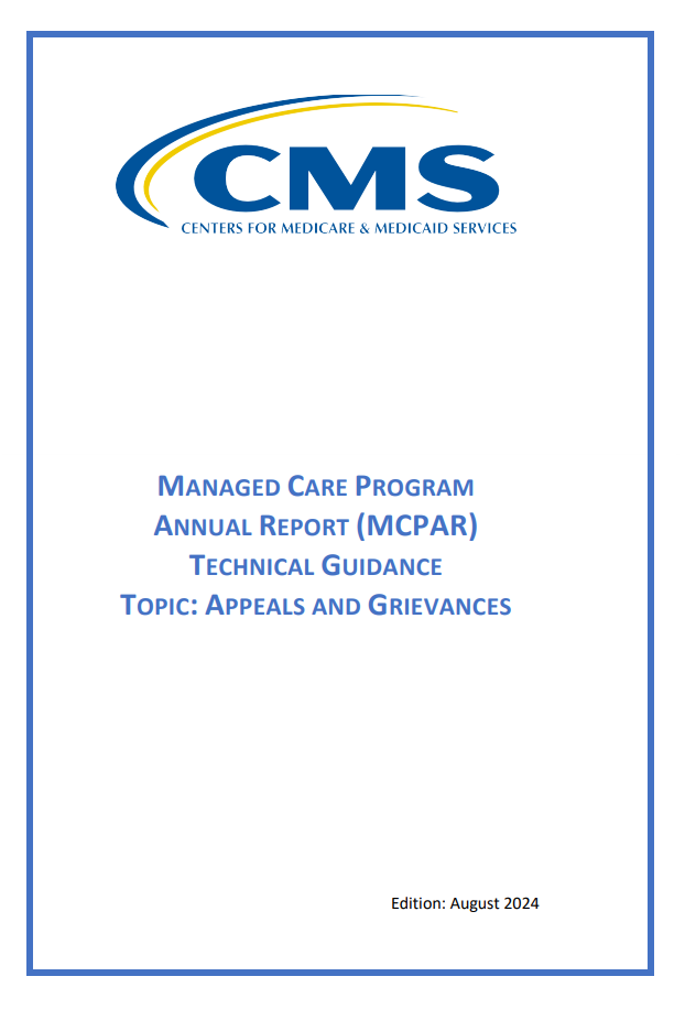 Technical Guidance and Managerial Program Report Example