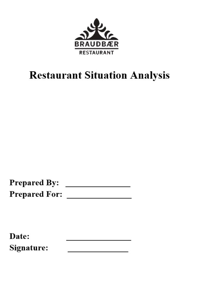 Situation Analysis Report Example